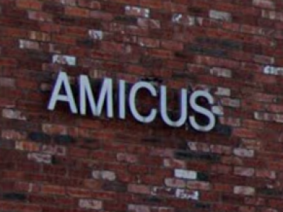 amicus