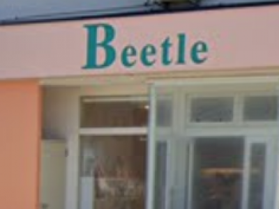 Beetle