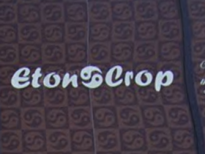 Eton Crop Koriyama