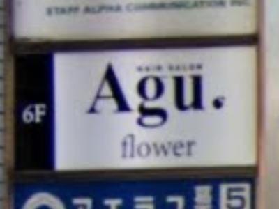 Agu hair flower 葛西店