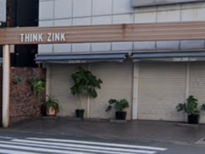 THINK ZINK hair