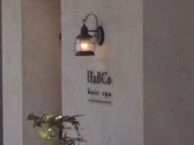 HaBCo hair spa