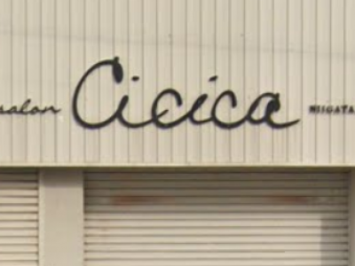 Cicica