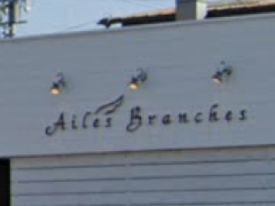 Ailes Branches