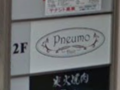 Pneumo hair pierre 八王子