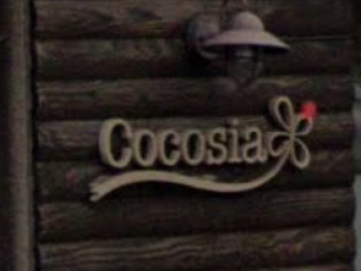 Cocosia