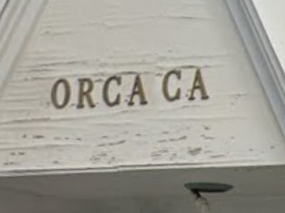 Orca