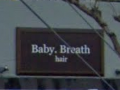 Baby Breath