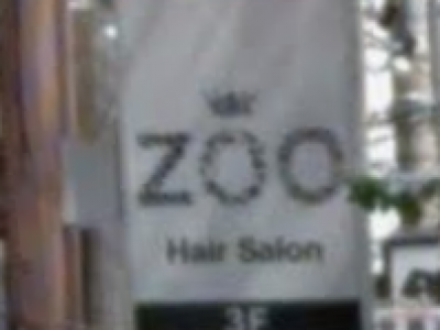 Hair Salon Zoo