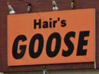 GOOSE