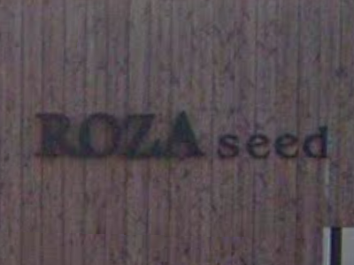 ROZA seed