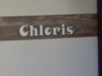 Chloris