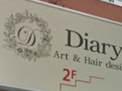 Art Hair design Diary