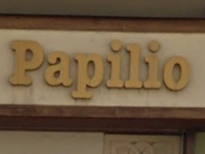 Papilio