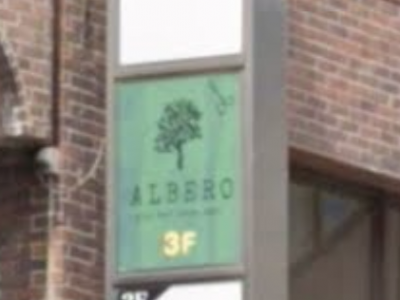 ALBERO