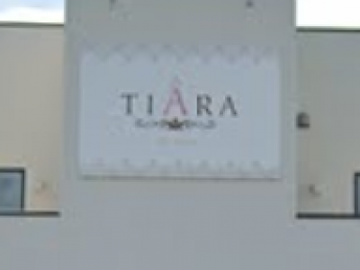 TIARA for hair