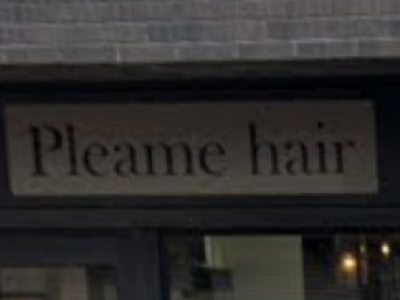 Pleame hair