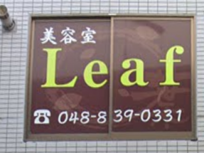 Leaf