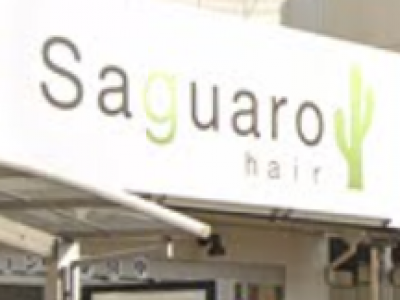 Saguaro hair