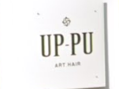 UP PU ART HAIR