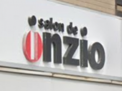 Salon de inzio