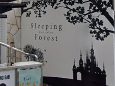 Sleeping Forest