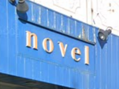 novel