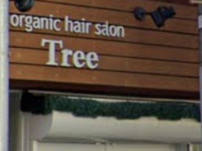 organic hair salon Tree