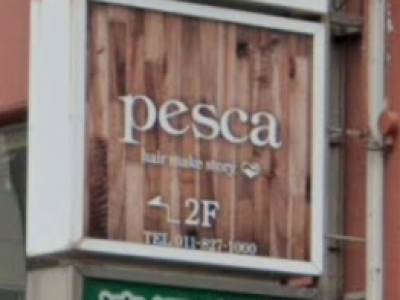 pesca 札幌南平岸店