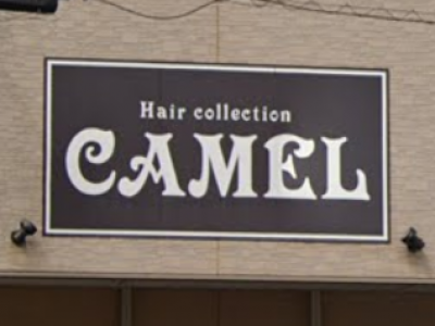 Hair collection CAMEL