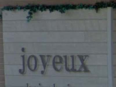 Joyeux