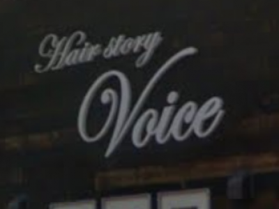 Voice