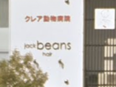 jack beans 青山店