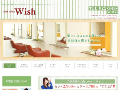 hair salon Wish