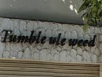 Tumble weed