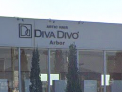 ARTIC HAIR DIVA DIVO Arbor