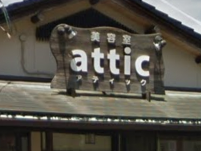 attic hair