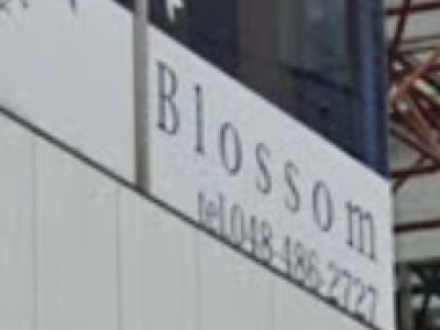 Blossom 朝霞台店 ブロッサム 朝霞台の美容室 ヘアログ