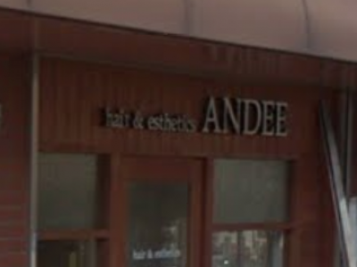 ANDEE