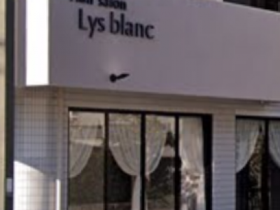 Lys blanc