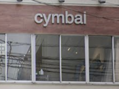 cymbal