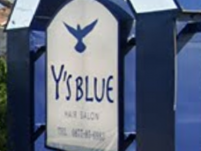 Y's Blue