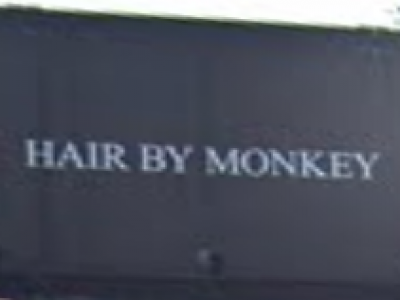 Hair by Monkey