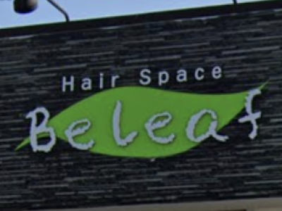 Hair Spece Beleaf