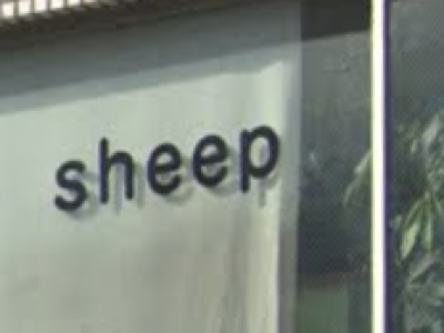 《閉店》sheep