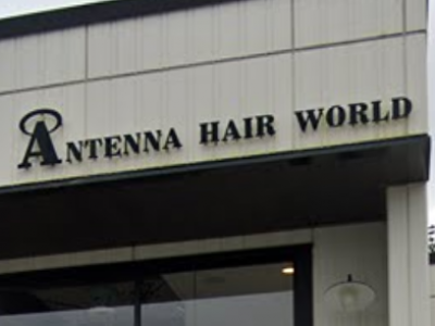 Antenna hairworld