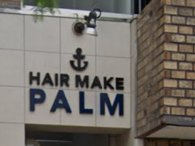 PALM HAIR