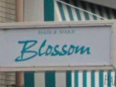 Blossom 若葉店