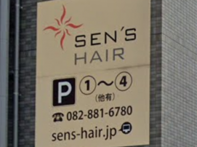 SEN'S HAIR