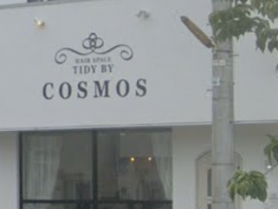 TIDY BY COSMOS